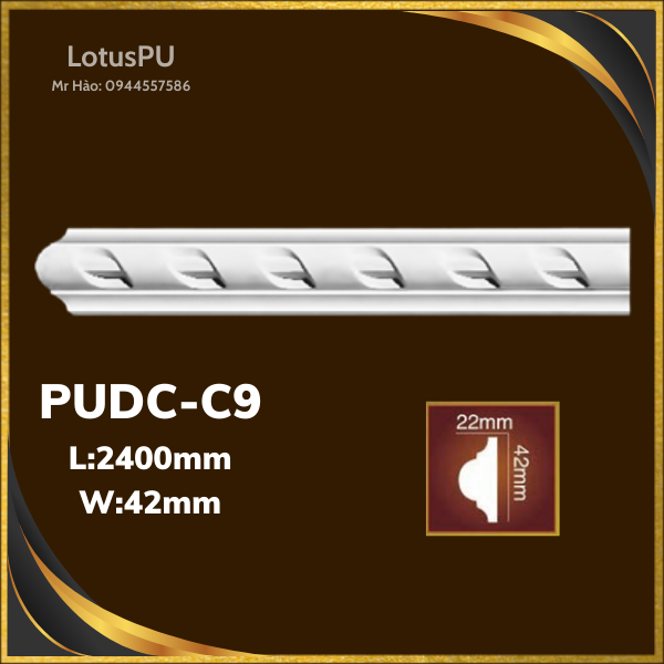 PUDC-C9