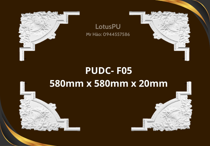 PUDC-F05