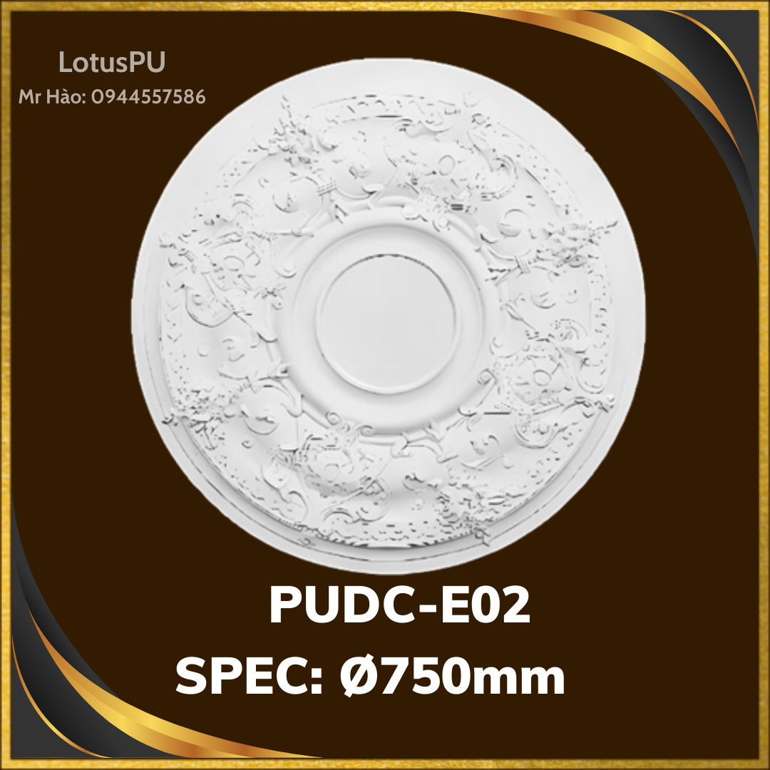 PUDC-E02