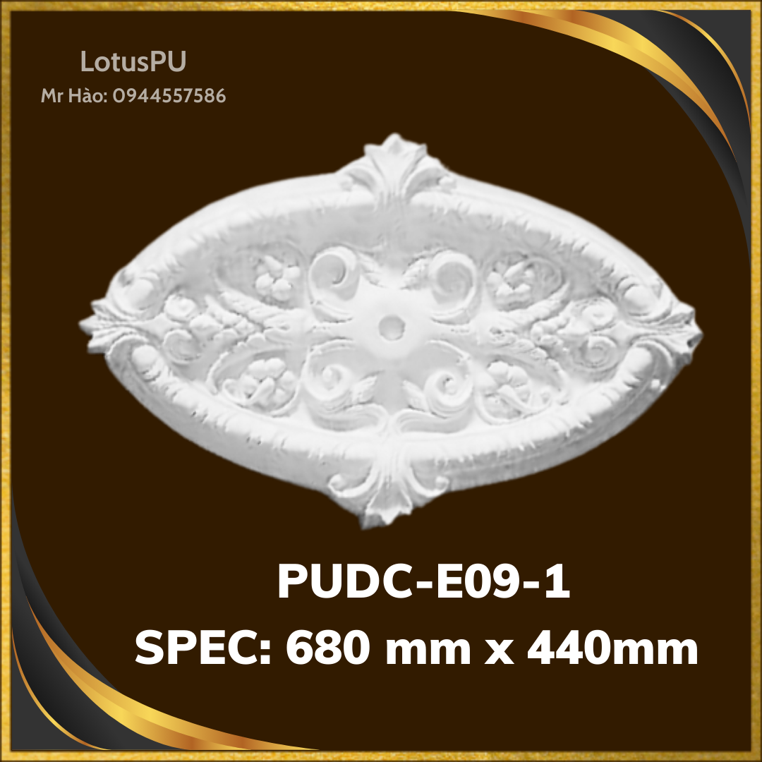 PUDC-E09-1