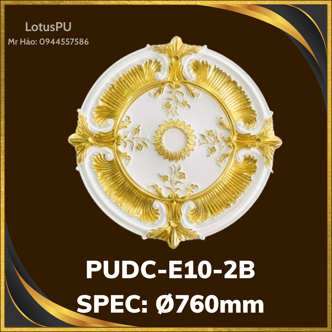 PUDC-E10-2B