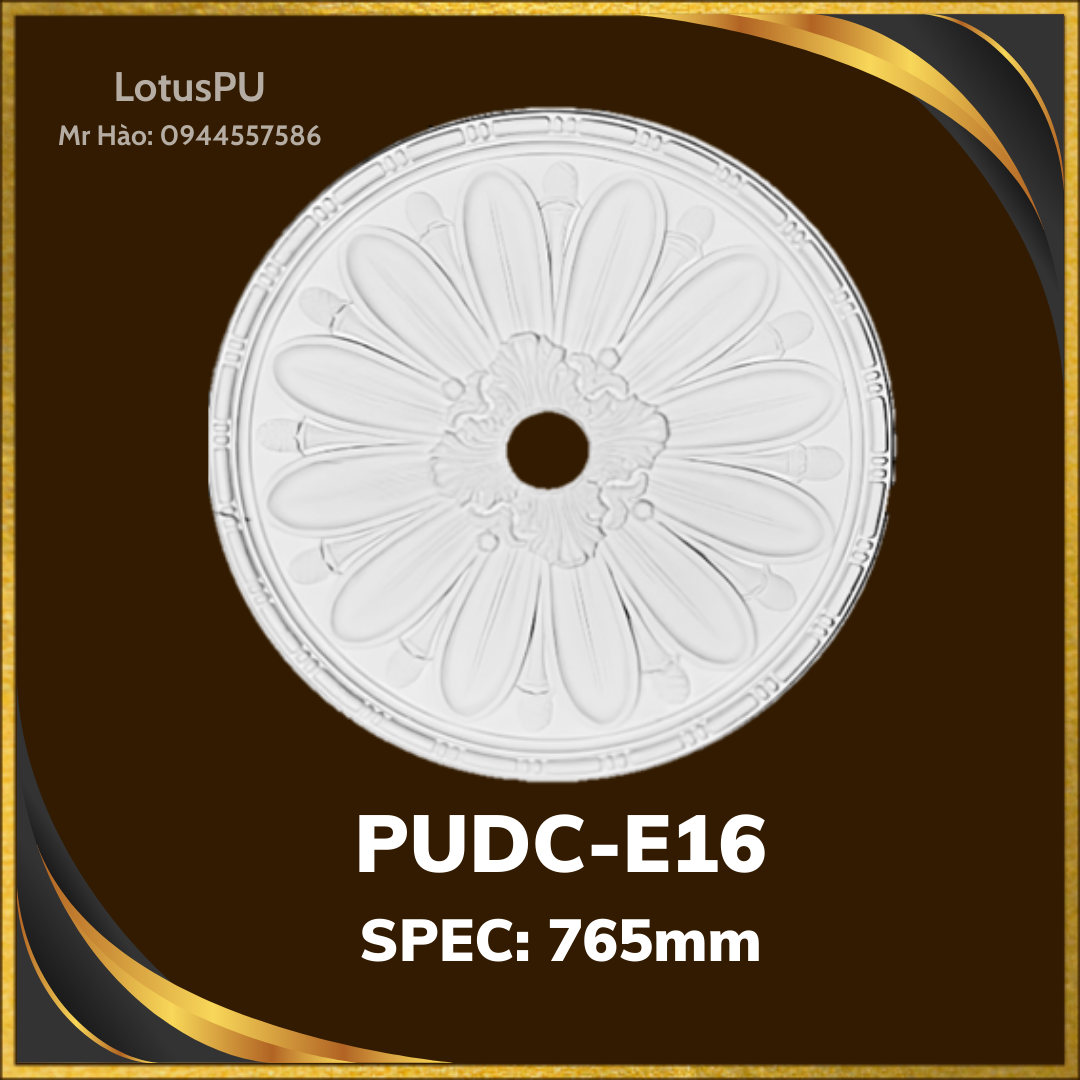PUDC-E16