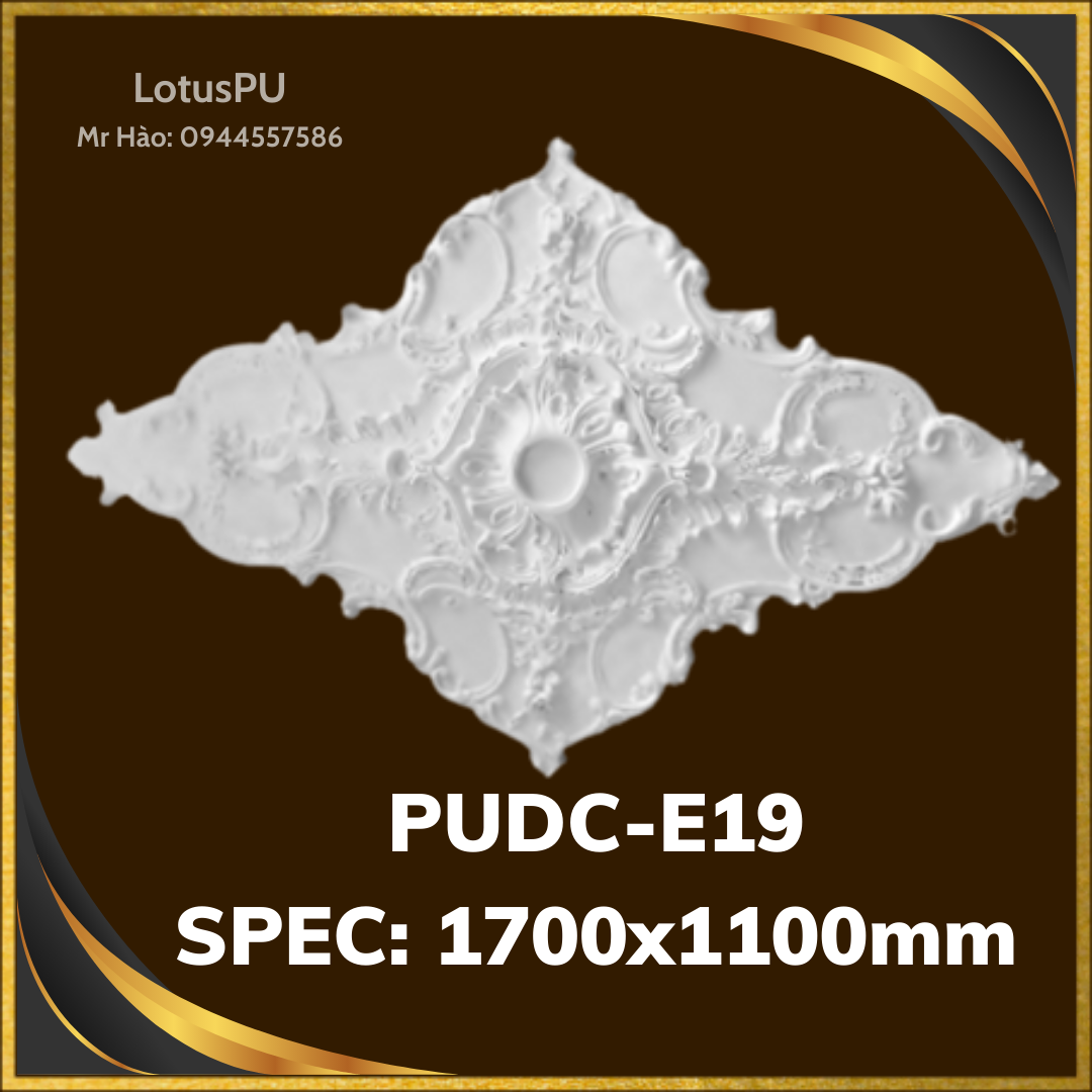 PUDC-E19