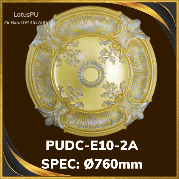 PUDC-E10-2A