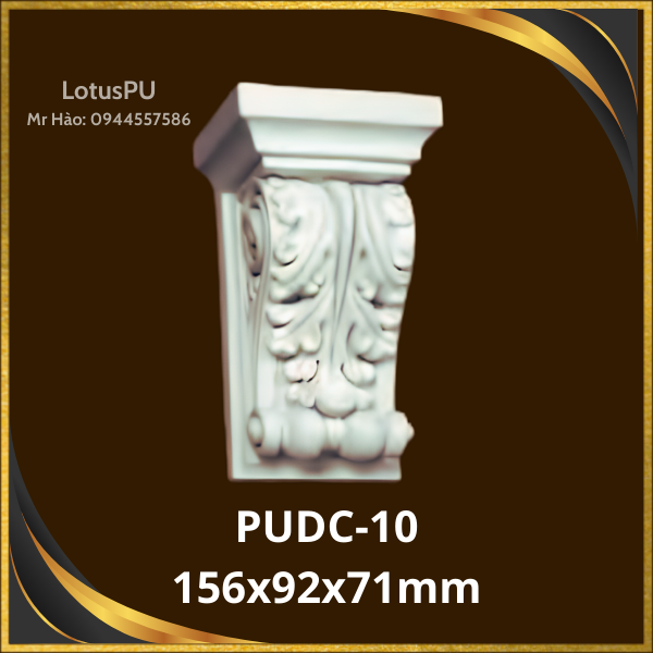 PUDC-10