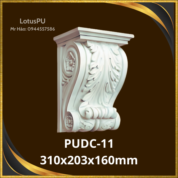PUDC-11