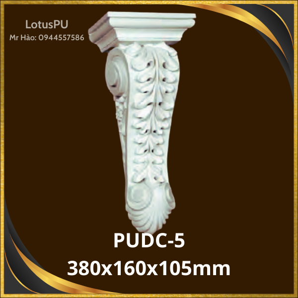 PUDC-5