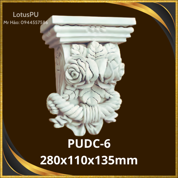 PUDC-6