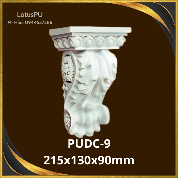 PUDC-9