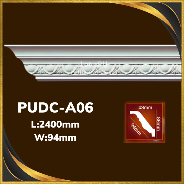 PUDC-A06