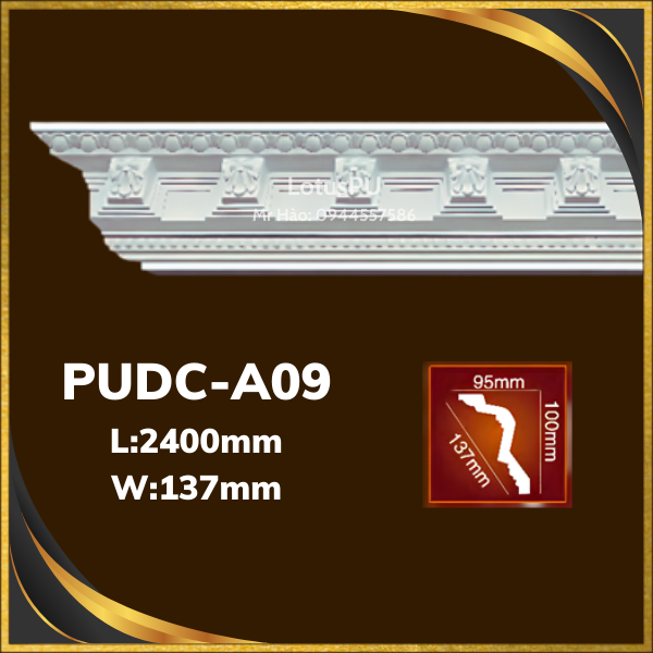 PUDC-A09