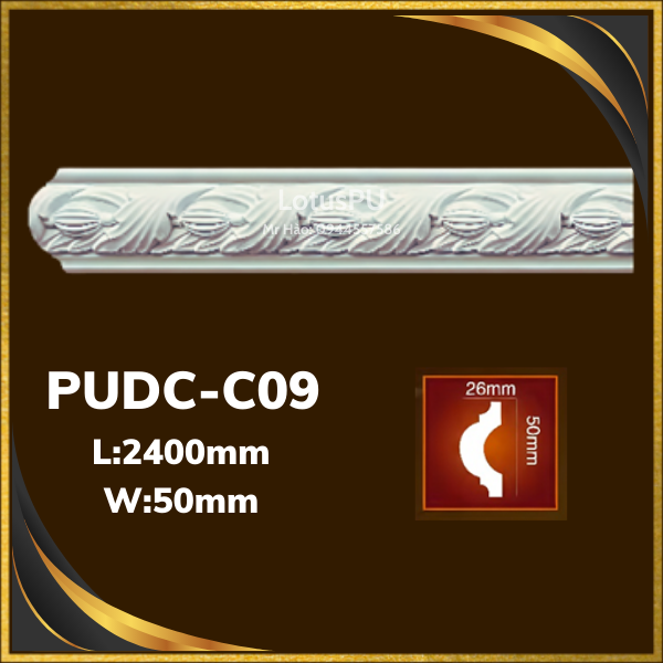 PUDC-C09