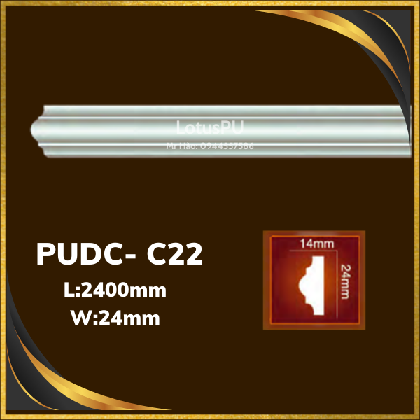 PUDC-C22