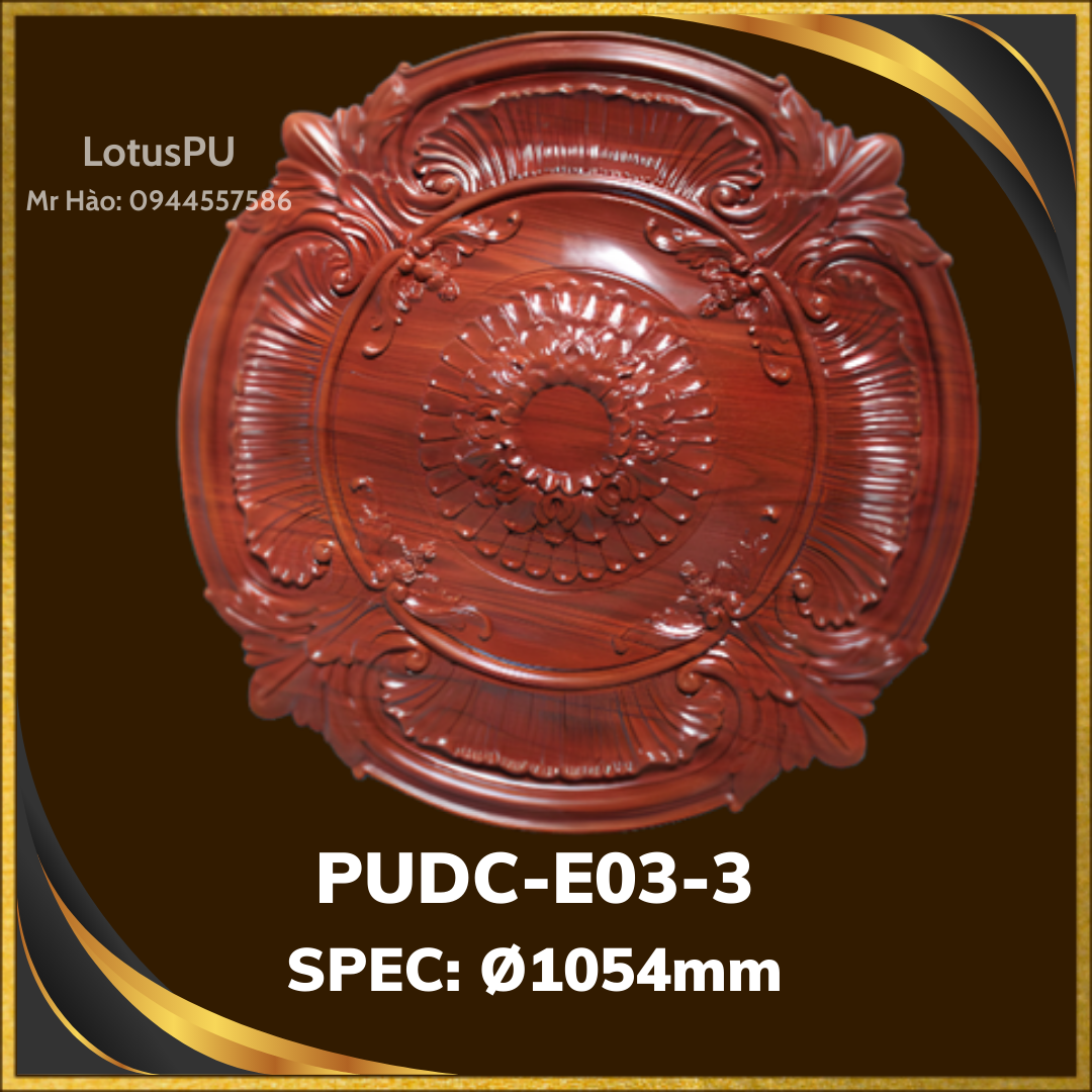 PUDC-E03-3