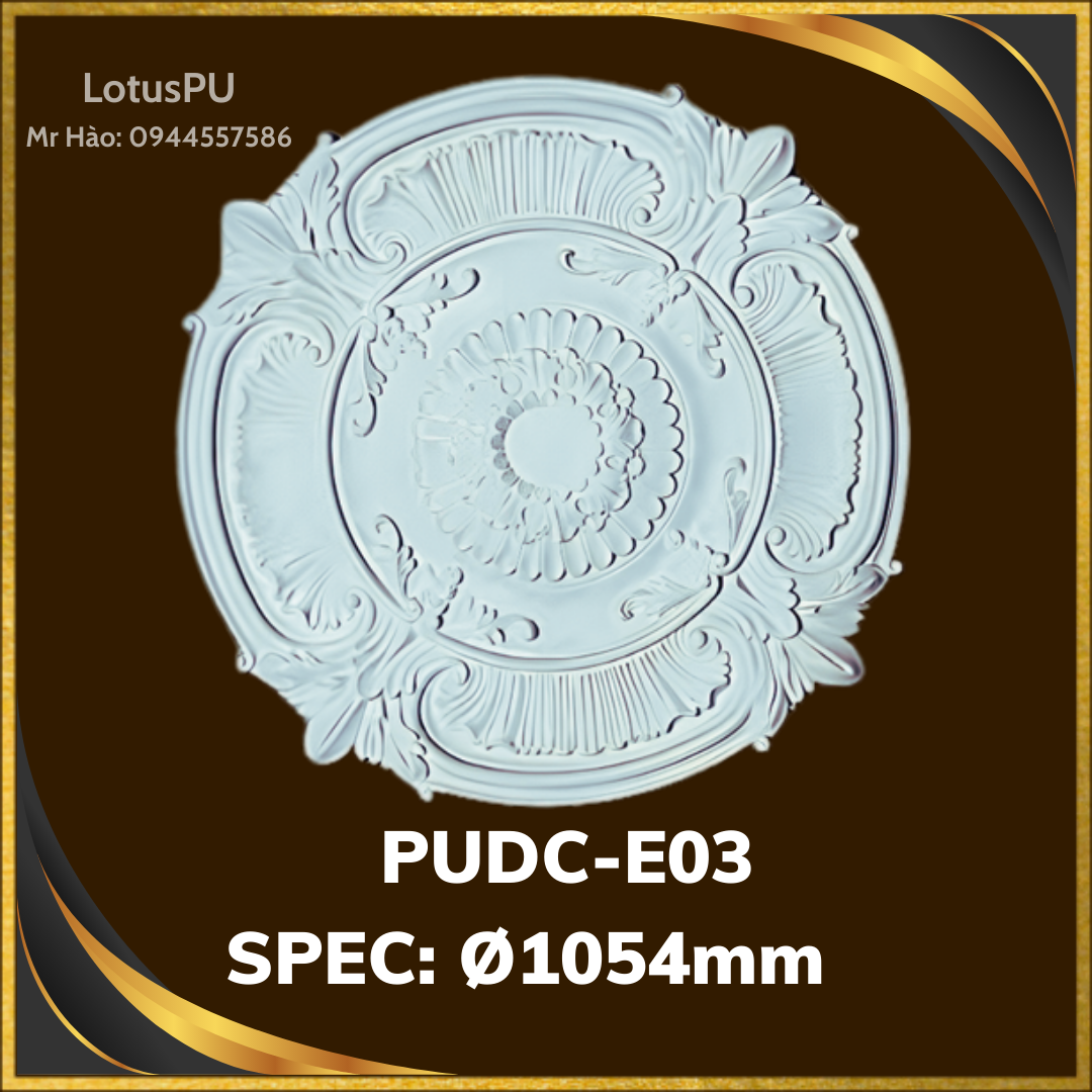 PUDC-E03