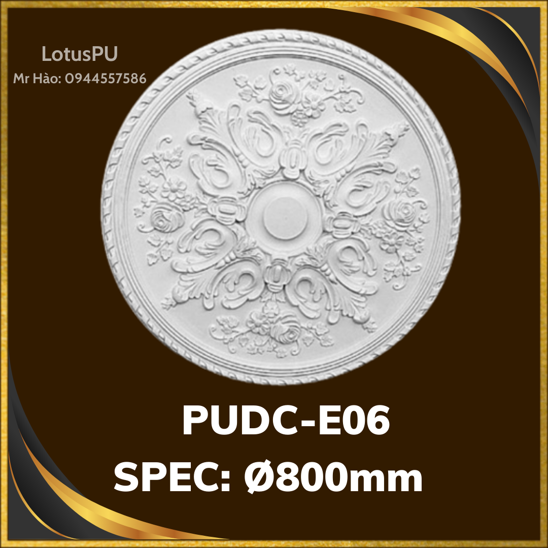 PUDC-E06