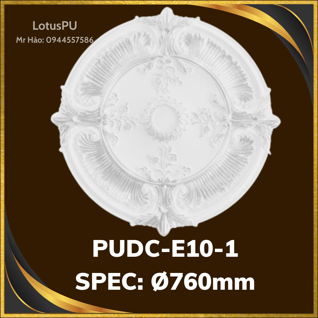 PUDC-E10-1
