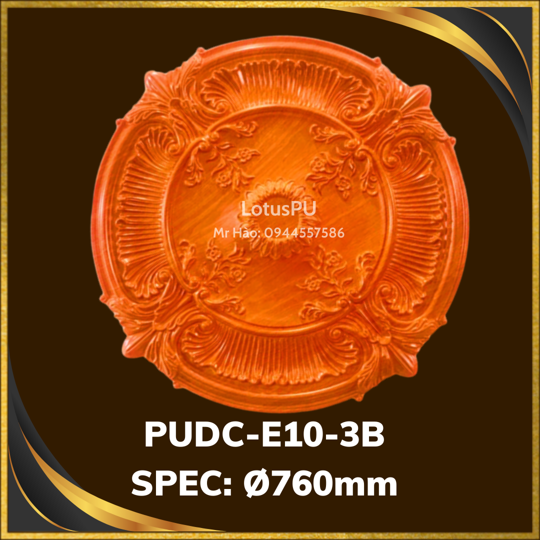 PUDC-E10-3B