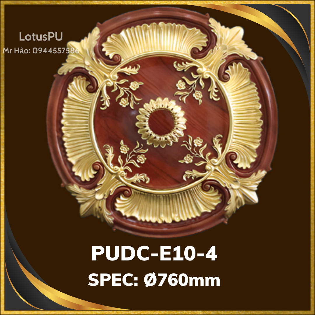 PUDC-E10-4