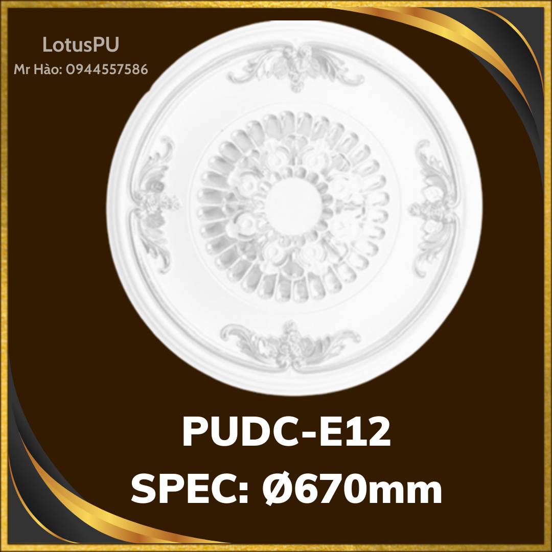 PUDC-E12