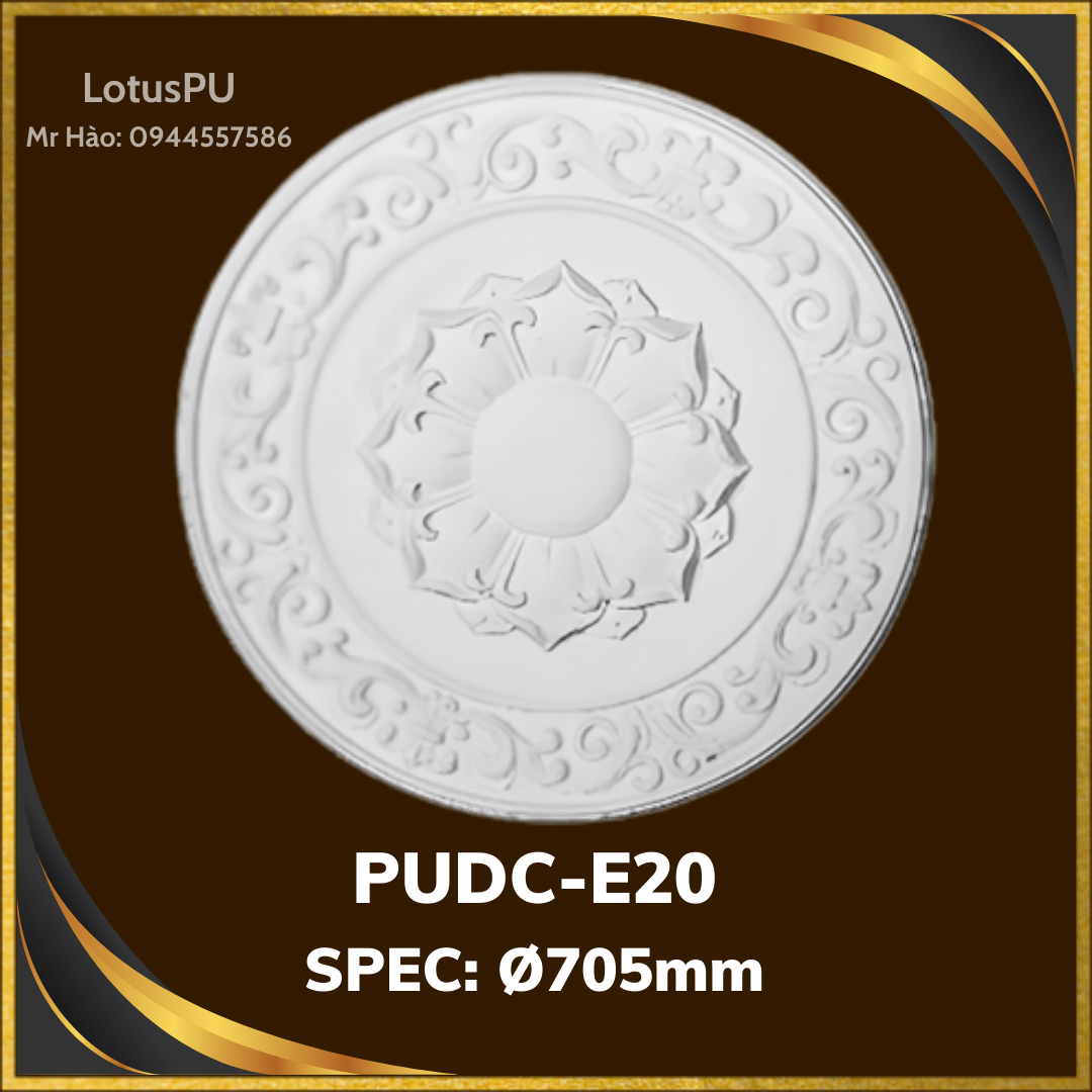 PUDC-E20