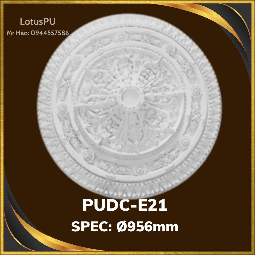 PUDC-E21