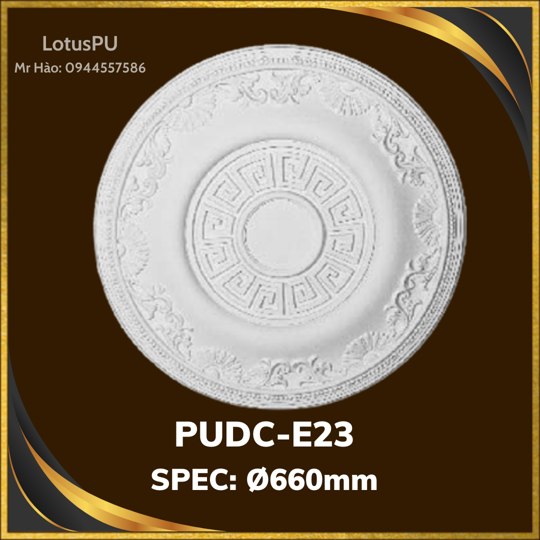 PUDC-E23
