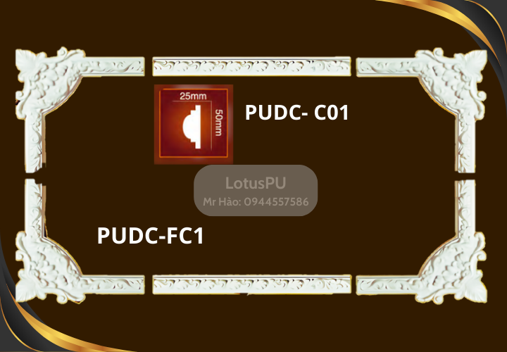 PUDC-FC1