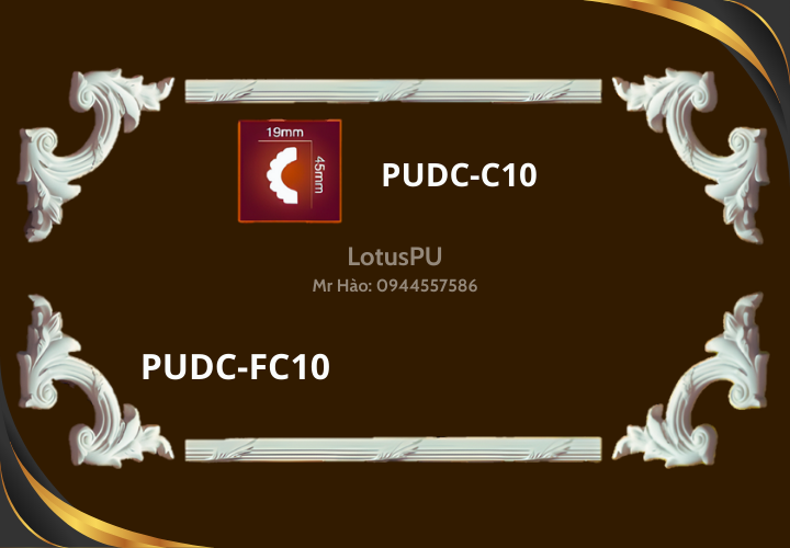 PUDC-FC10