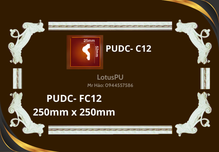 PUDC-FC12