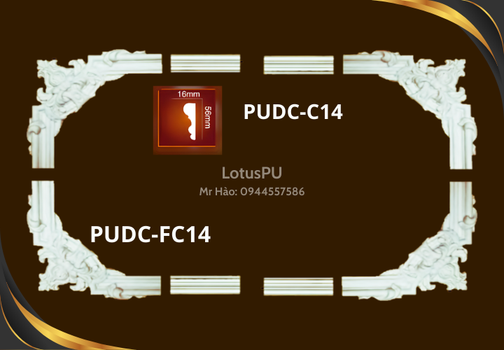 PUDC-FC14