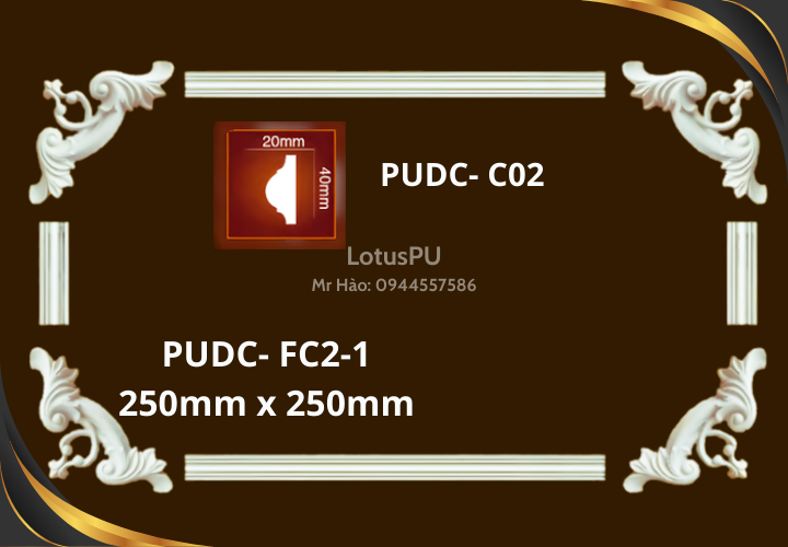 PUDC-FC2-1