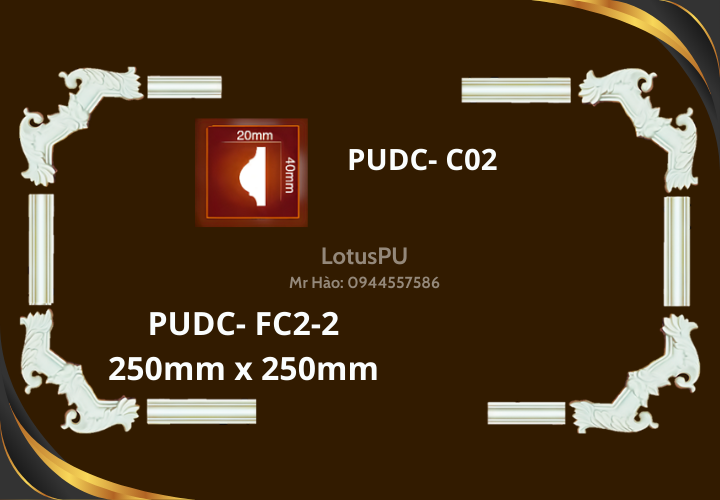 PUDC-FC2-2