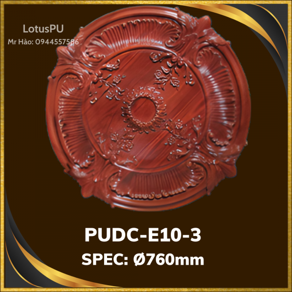 PUDC-E10-3