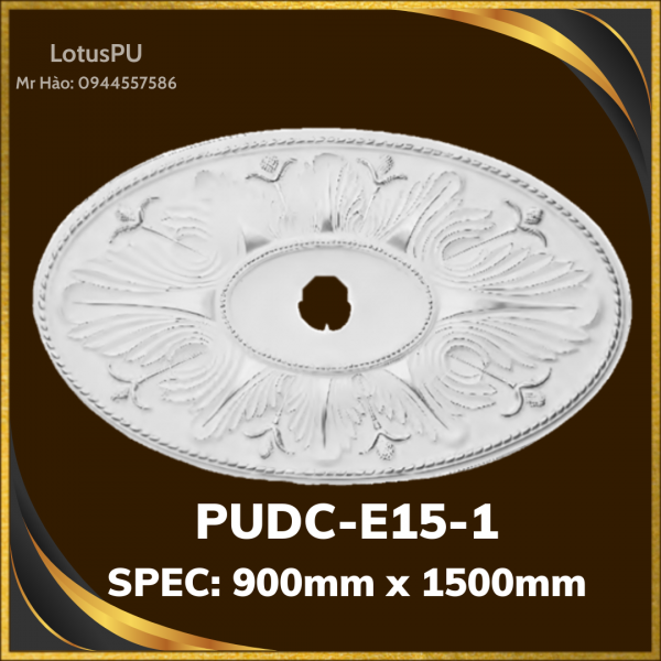 PUDC-E15-1