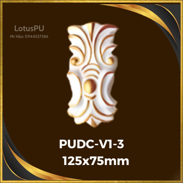 PUDC-V1-3