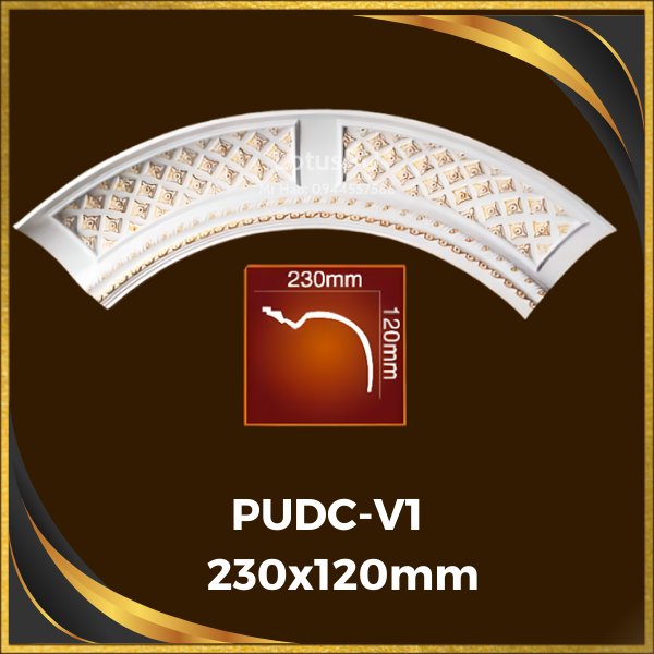 PUDC-V1