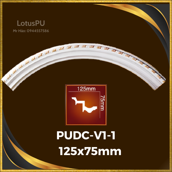 PUDC-V1-1