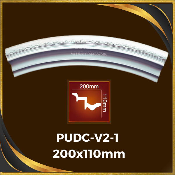 PUDC-V2-1