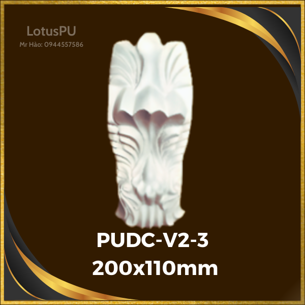 PUDC-V2-3
