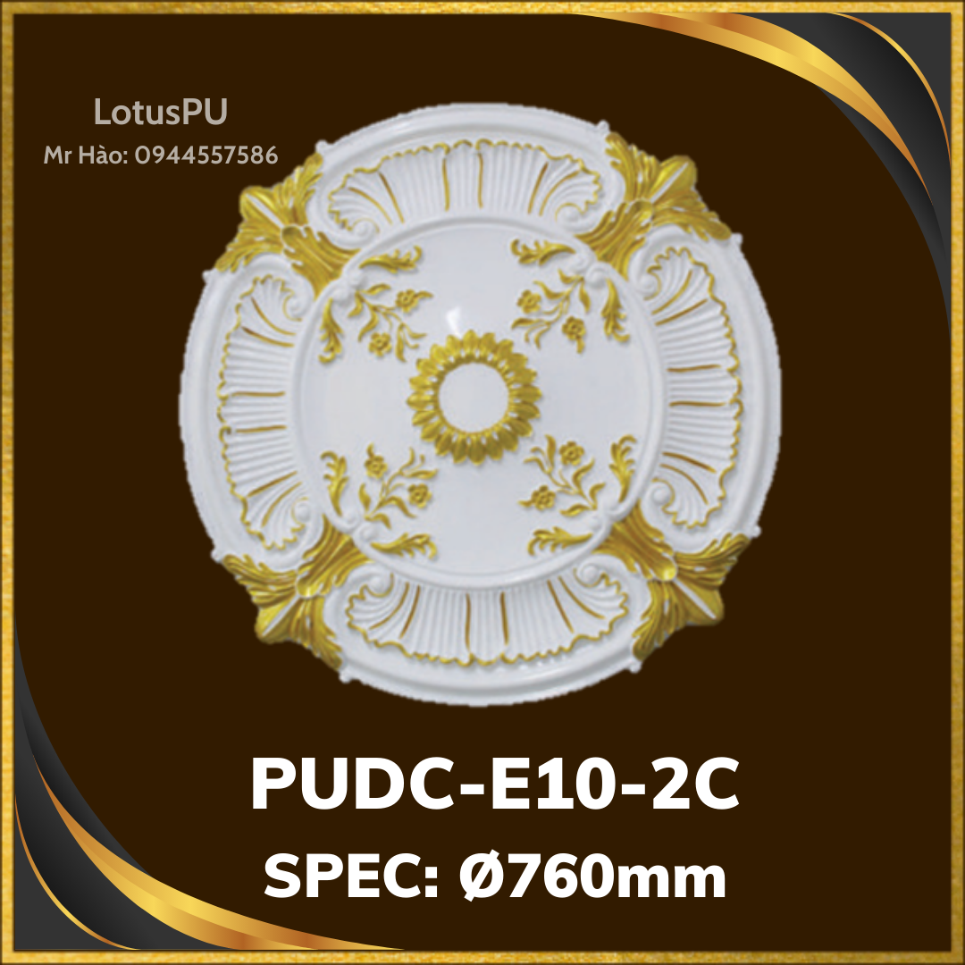 PUDC-E10-2C