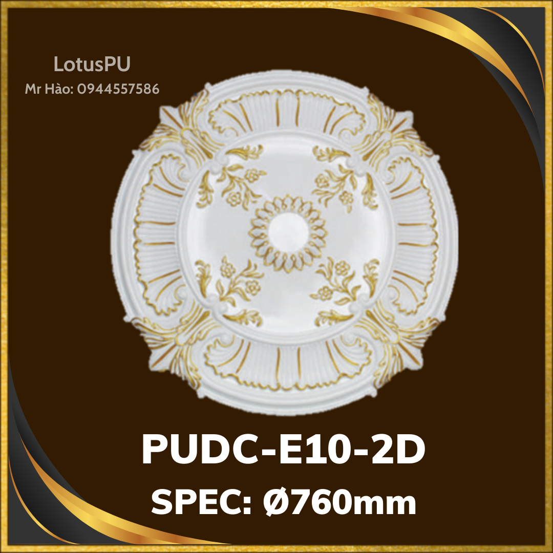 PUDC-E10-2D