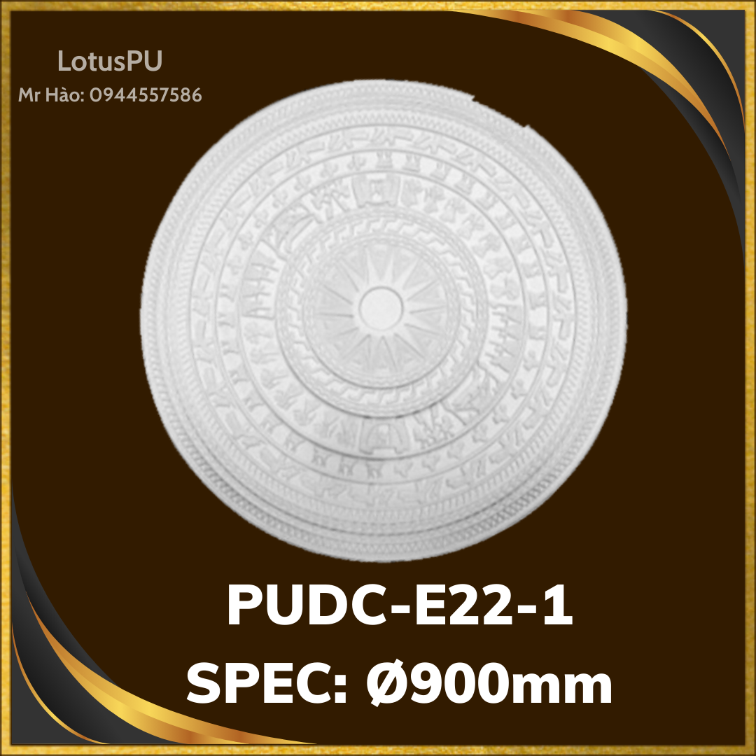 PUDC-E22-1