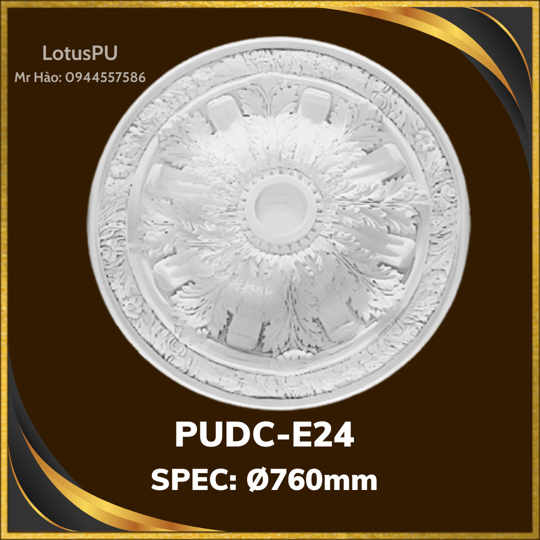PUDC-E24