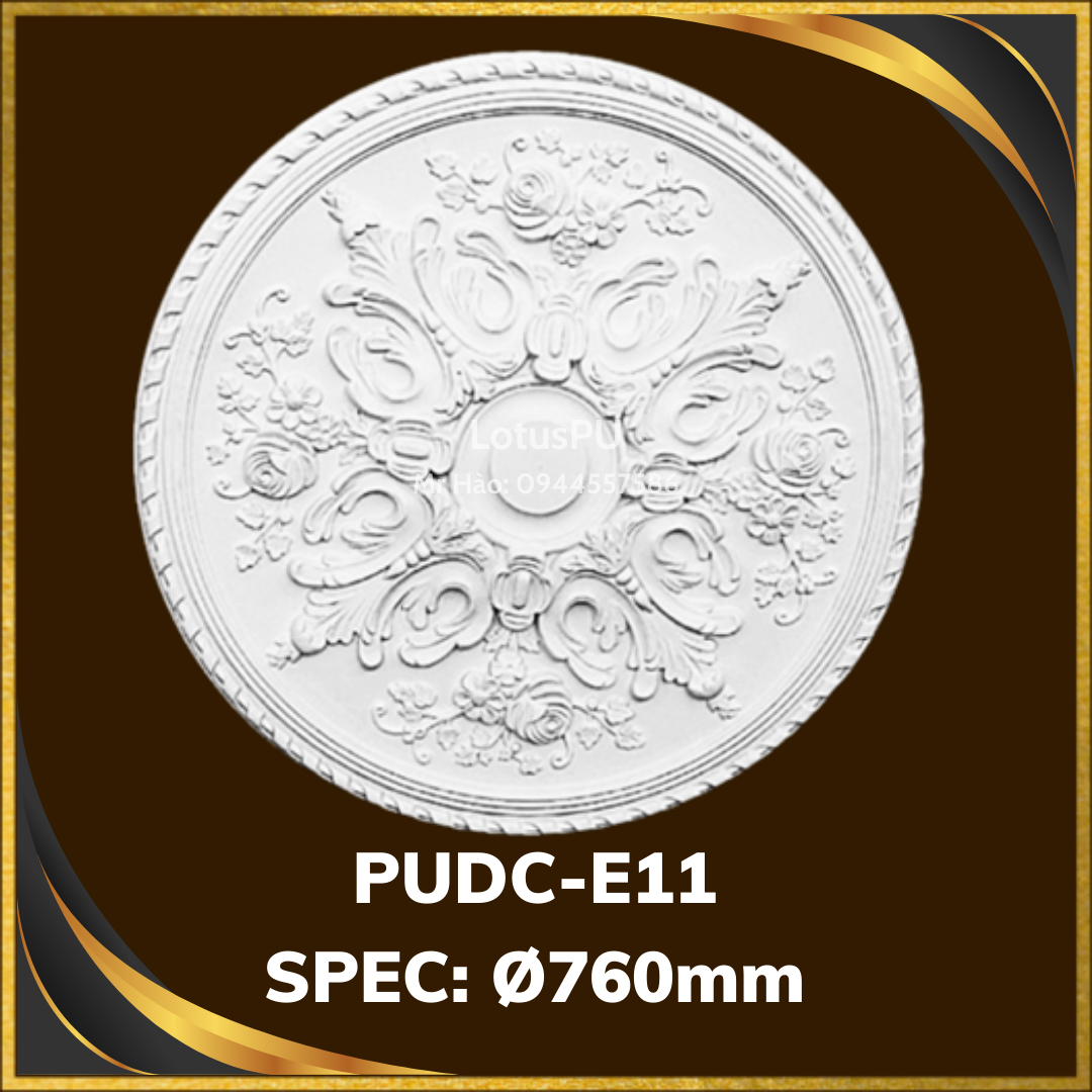 PUDC-E11