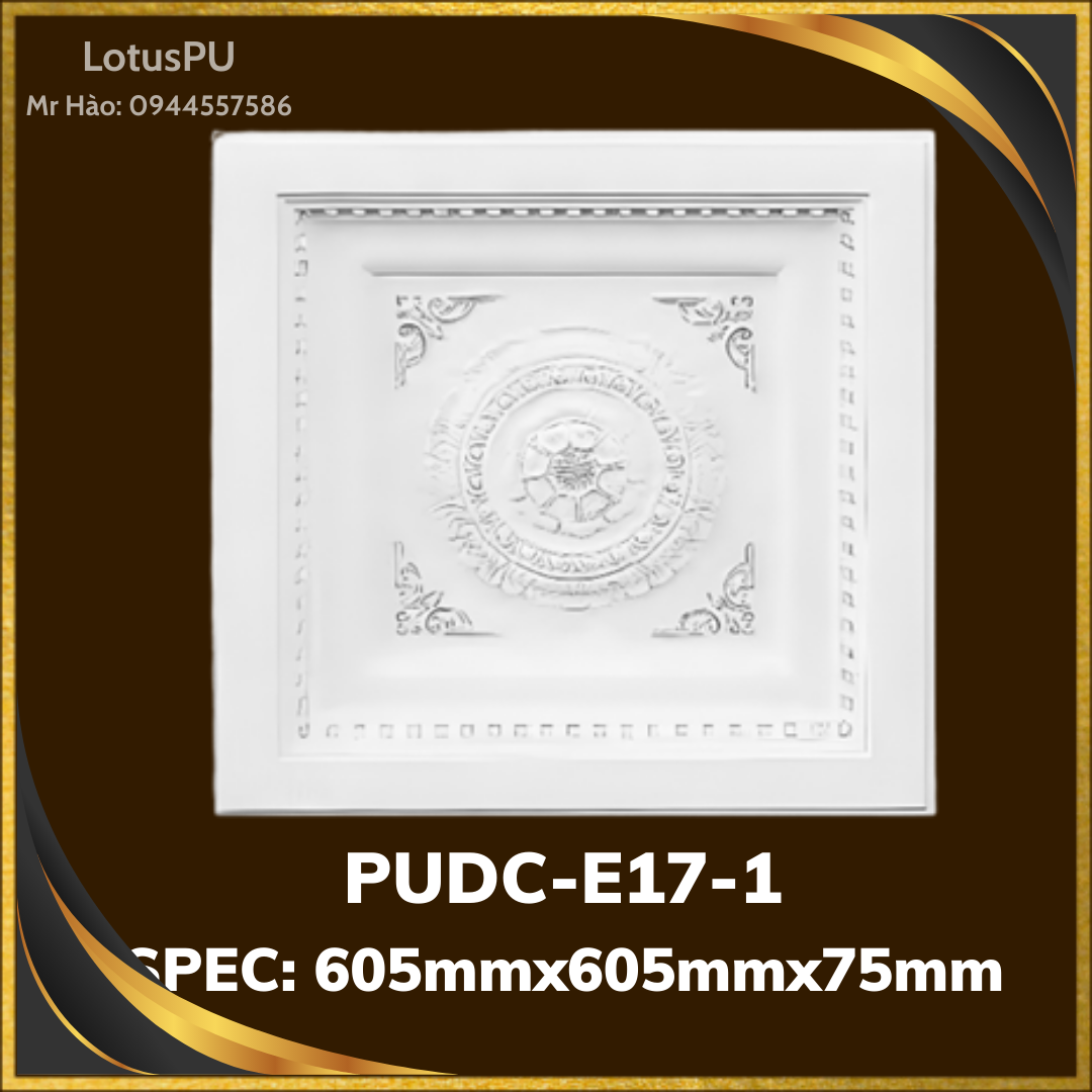 PUDC-E17-1