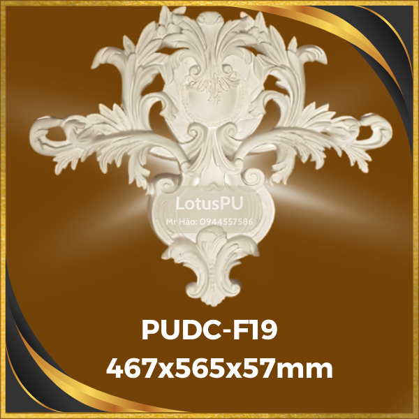 PUDC-F19
