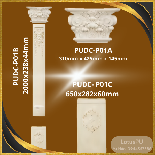 PUDC-P01