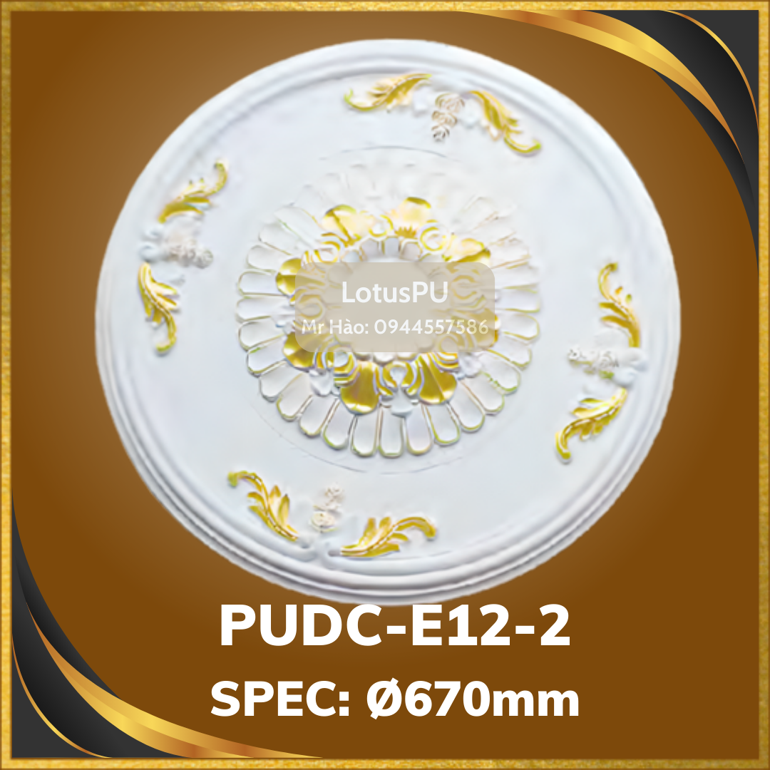 PUDC-E12-2