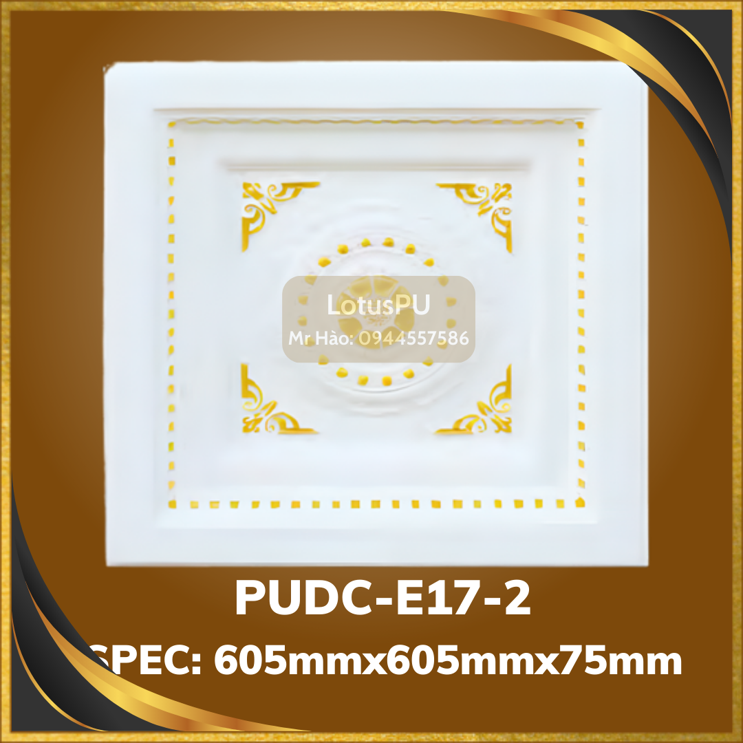 PUDC-E17-2